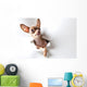 Funny little dog on white Wall Decal