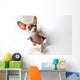 Funny little dog on white Wall Decal
