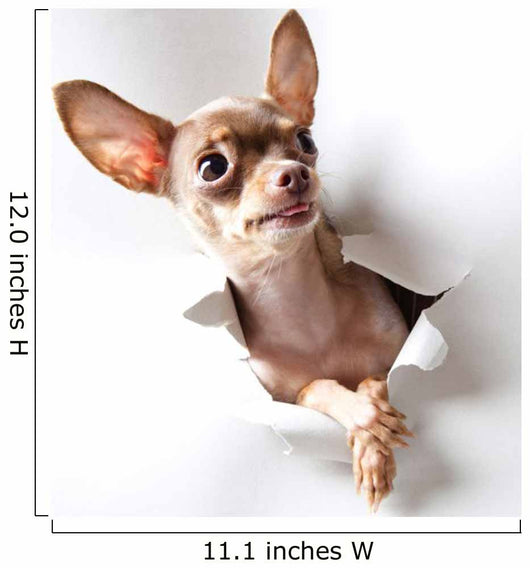 Funny little dog on white Wall Decal