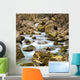 Autumn Stream Wall Mural