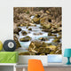 Autumn Stream Wall Mural