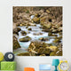 Autumn Stream Wall Mural