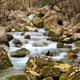 Autumn Stream Wall Mural
