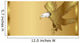 Gold Eagle Background Wall Mural