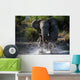 Have Angered Wall Mural
