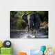 Have Angered Wall Mural