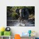 Have Angered Wall Mural