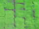 Green Country