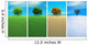 Four Seasons Wall Mural