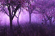 Lavender Forest - 3d render Wall Mural