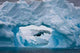 Antarctic Iceberg Wall Decal Design 4