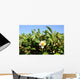 Tea Flower Wall Mural