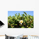 Tea Flower Wall Mural