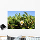 Tea Flower Wall Mural