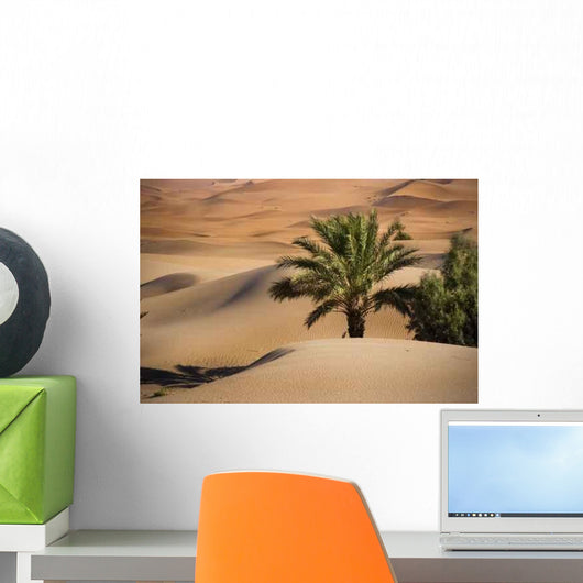 Oasis Desert Wall Decal Design 1