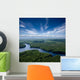 Aerial Forest River Wall Decal