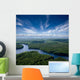 Aerial Forest River Wall Decal