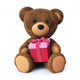 Teddy Bear with Present