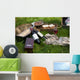 Picnic scene: wine bottles, glass, bread, boxes, still life Wall Mural