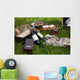 Picnic scene: wine bottles, glass, bread, boxes, still life Wall Mural
