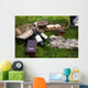Picnic scene: wine bottles, glass, bread, boxes, still life Wall Mural