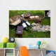 Picnic scene: wine bottles, glass, bread, boxes, still life Wall Mural