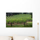 Small Vineyard Wall Decal