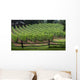 Small Vineyard Wall Decal