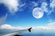 Heaven Wall Decal