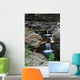 Stream Wall Mural