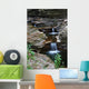 Stream Wall Mural