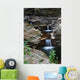 Stream Wall Mural