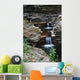 Stream Wall Mural