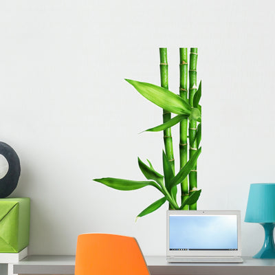 Bamboo Leaves Wall Decal shown on a wall