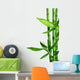 Bamboo Border Wall Decal