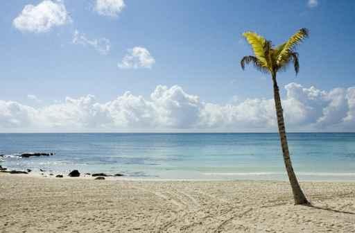 Barcelo La Plage2 Wall Decal