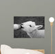 Lamb Feeding Wall Decal