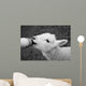 Lamb Feeding Wall Decal