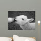 Lamb Feeding Wall Decal