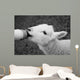 Lamb Feeding Wall Decal