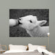 Lamb Feeding Wall Decal