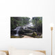 Blue Mountains Waterfall in Mist Wall Mural