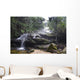 Blue Mountains Waterfall in Mist Wall Mural
