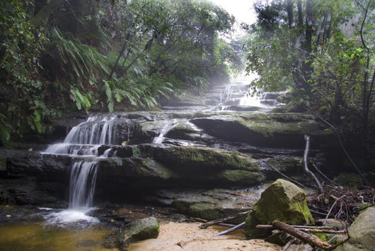 Blue Mountains Waterfall in Mist Wall Mural