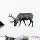Photo-real Christmas Caribou Wall Decal