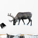 Photo-real Christmas Caribou Wall Decal