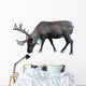 Photo-real Christmas Caribou Wall Decal