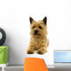 Resting Dog Wall Mural