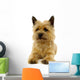 Resting Dog Wall Mural