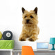 Resting Dog Wall Mural